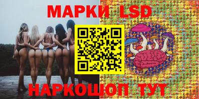 мдпв Тверь