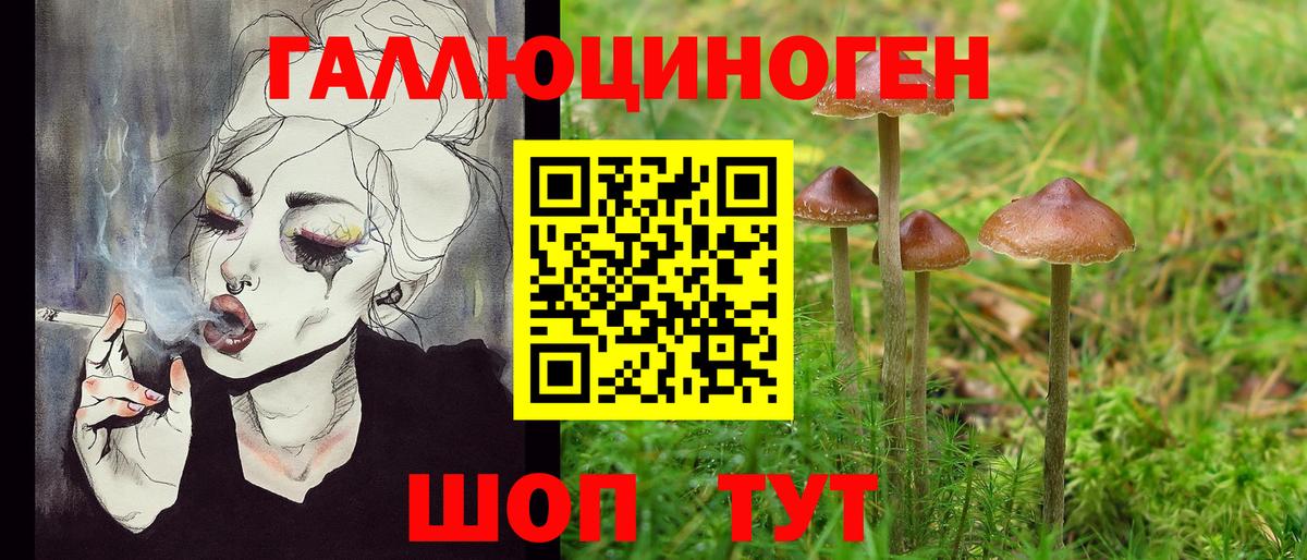 Псилоцибиновые грибы Magic Shrooms Новодвинск